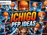 Ichigo PFP